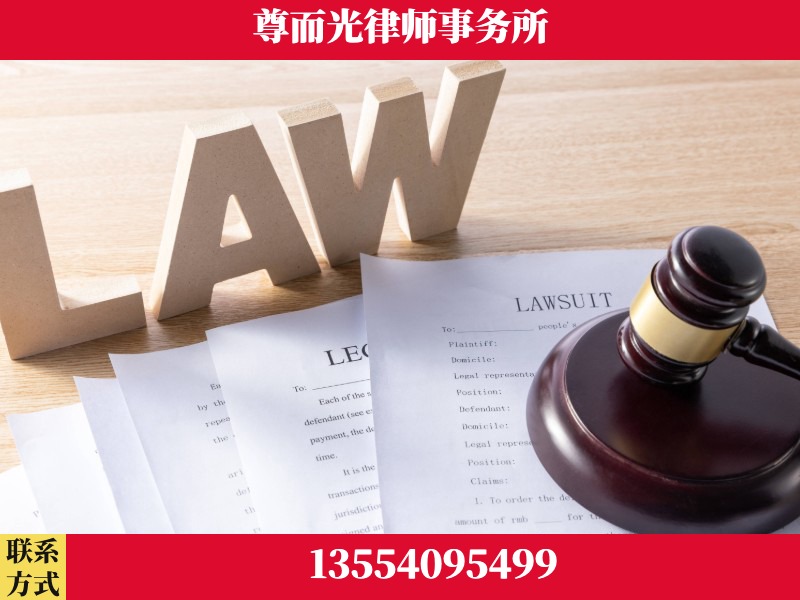 临武-"法律 + 新媒体" 融合创新